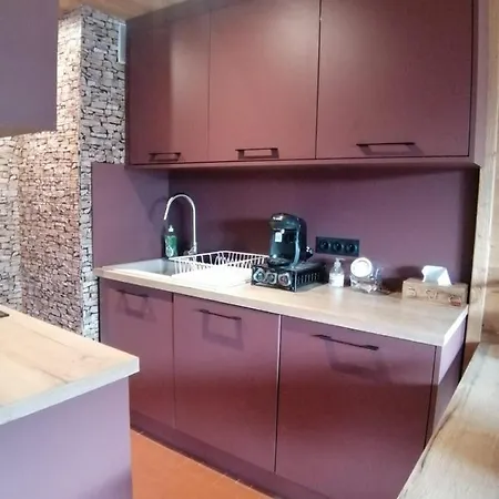 Coeur De Montagne Apartment